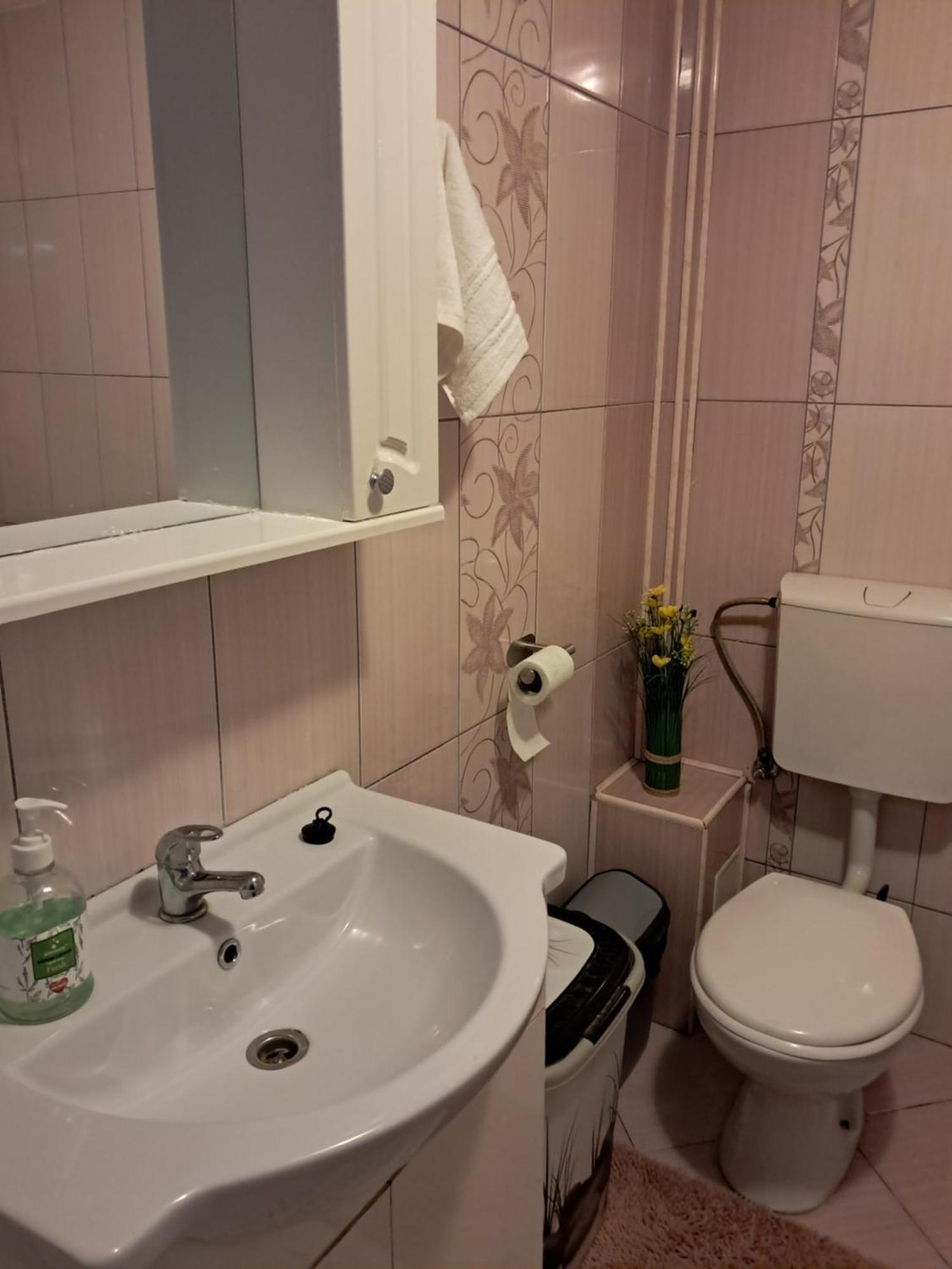 Casuta Galbena Apartment