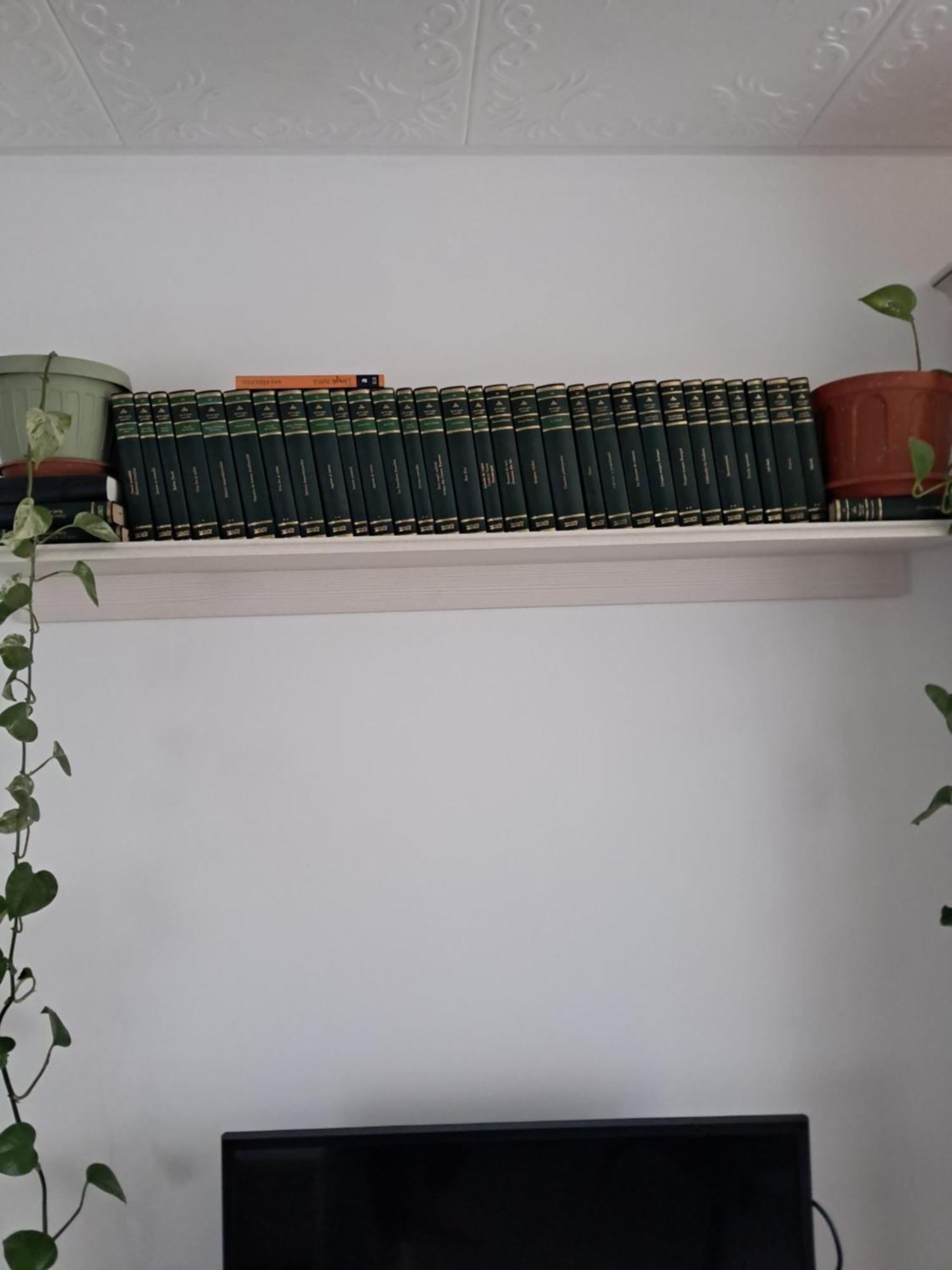 Apartment Casuta Galbena